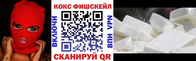 Купить закладки  Михайловка  COCAIN Columbia 
