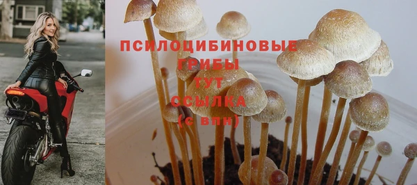 MESCALINE Володарск